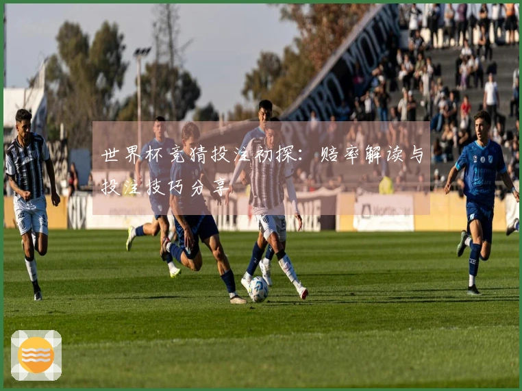 世界杯竞猜投注初探：赔率解读与投注技巧分享