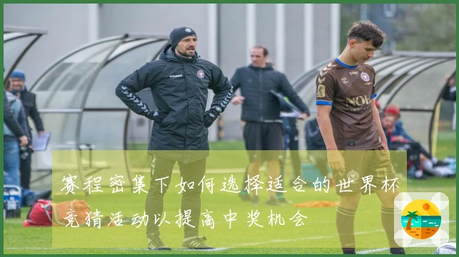 赛程密集下如何选择适合的世界杯竞猜活动以提高中奖机会