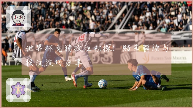 世界杯竞猜投注初探：赔率解读与投注技巧分享