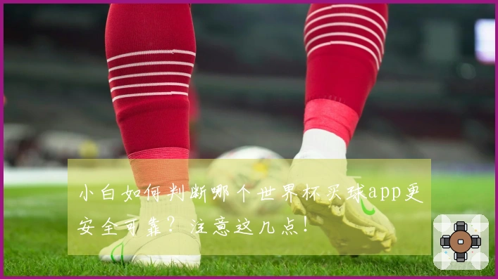 小白如何判断哪个世界杯买球app更安全可靠？注意这几点！