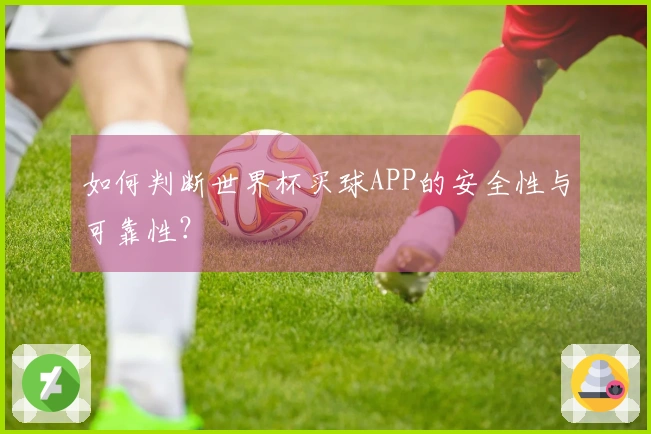 如何判断世界杯买球APP的安全性与可靠性？