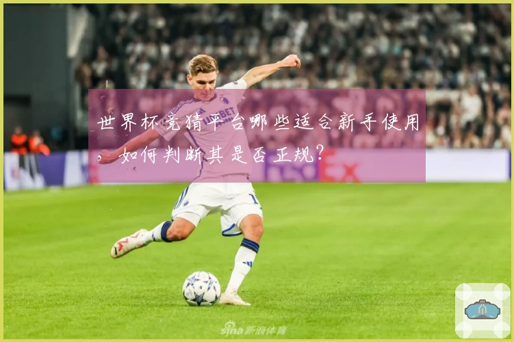 世界杯竞猜平台哪些适合新手使用，如何判断其是否正规？