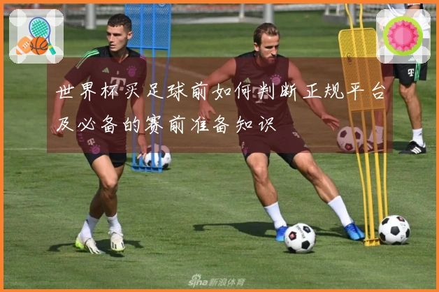 世界杯买足球前如何判断正规平台及必备的赛前准备知识
