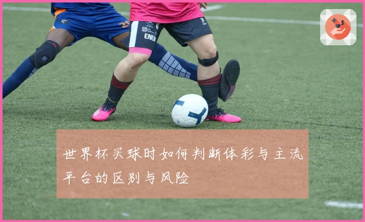 世界杯买球时如何判断体彩与主流平台的区别与风险