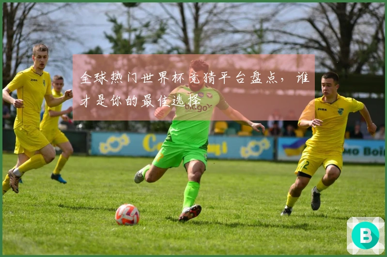 全球热门世界杯竞猜平台盘点，谁才是你的最佳选择