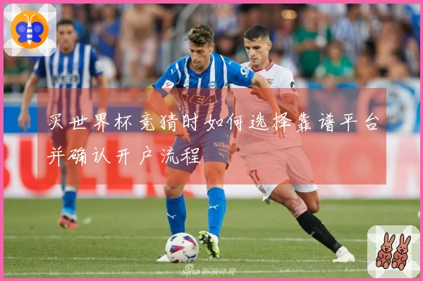 买世界杯竞猜时如何选择靠谱平台并确认开户流程