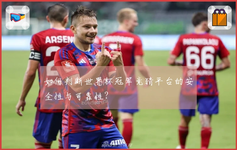 如何判断世界杯冠军竞猜平台的安全性与可靠性？