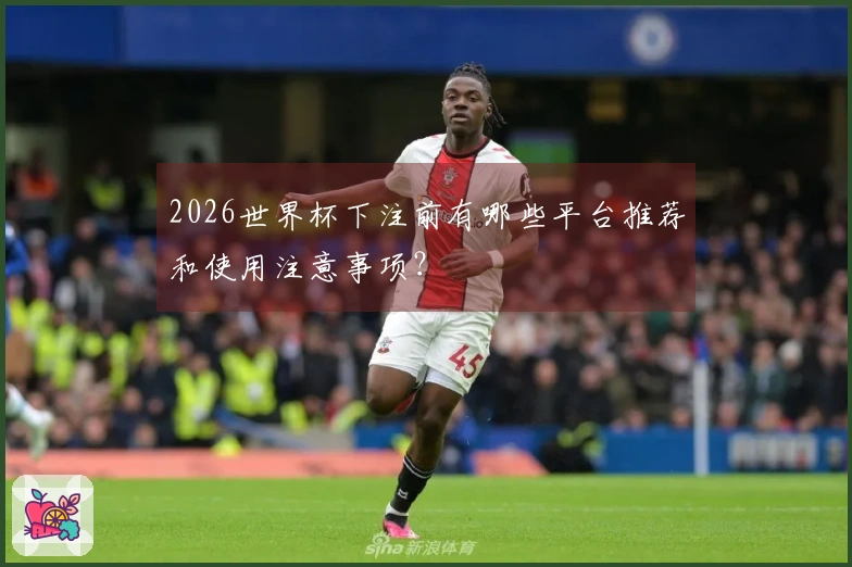 2026世界杯下注前有哪些平台推荐和使用注意事项？