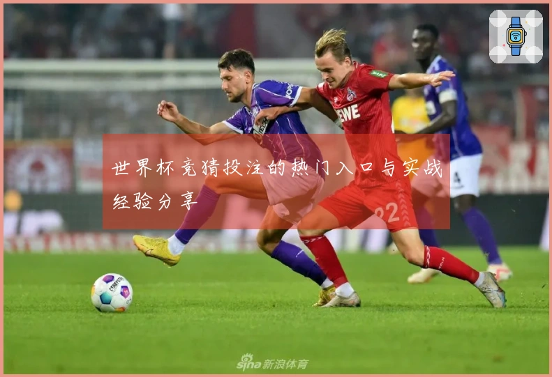 世界杯竞猜投注的热门入口与实战经验分享