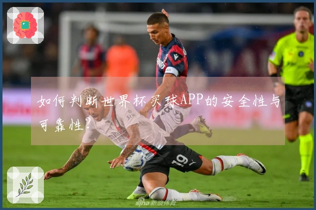 如何判断世界杯买球APP的安全性与可靠性？