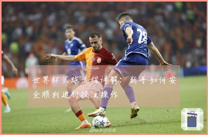 世界杯买球流程详解:新手如何安全顺利进行投注操作