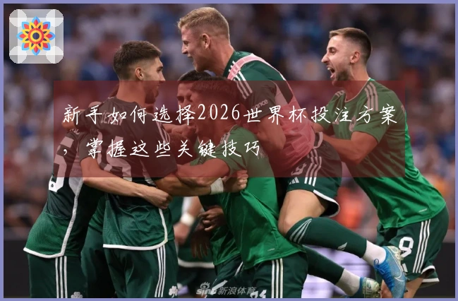 新手如何选择2026世界杯投注方案，掌握这些关键技巧