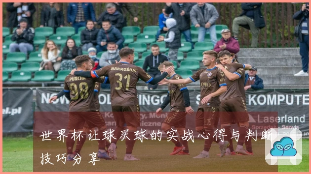 世界杯让球买球的实战心得与判断技巧分享