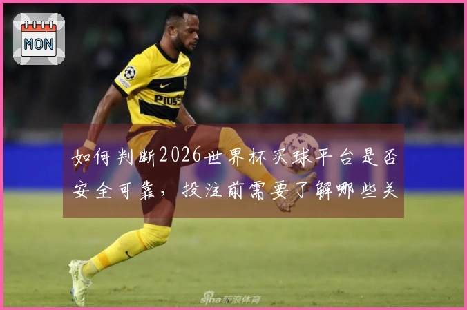 如何判断2026世界杯买球平台是否安全可靠，投注前需要了解哪些关键点