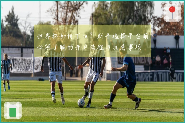世界杯如何下注?新手选择平台前必须了解的开户流程与注意事项