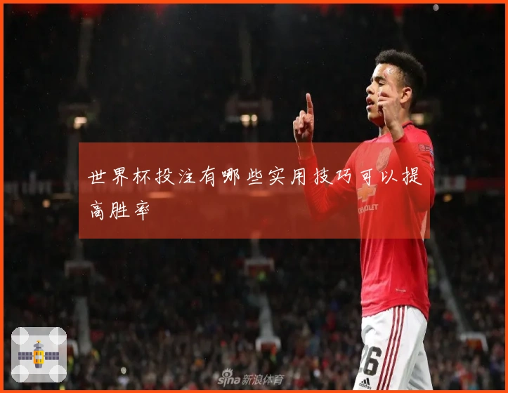 世界杯投注有哪些实用技巧可以提高胜率