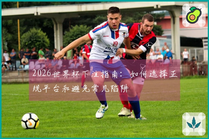 2026世界杯下注指南：如何选择正规平台和避免常见陷阱