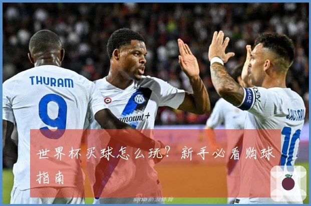 世界杯买球怎么玩？新手必看购球指南