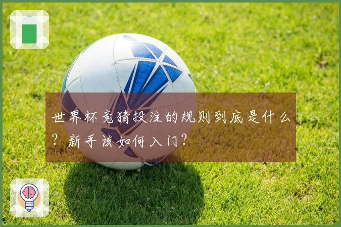 世界杯竞猜投注的规则到底是什么？新手该如何入门？