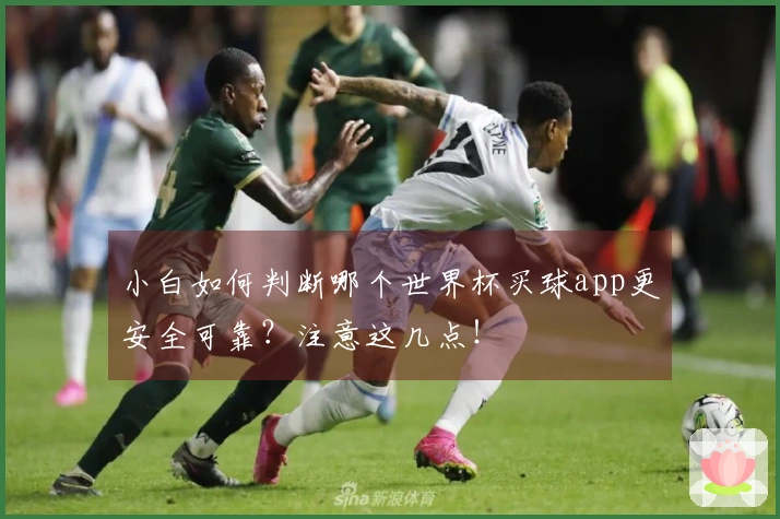 小白如何判断哪个世界杯买球app更安全可靠?注意这几点!