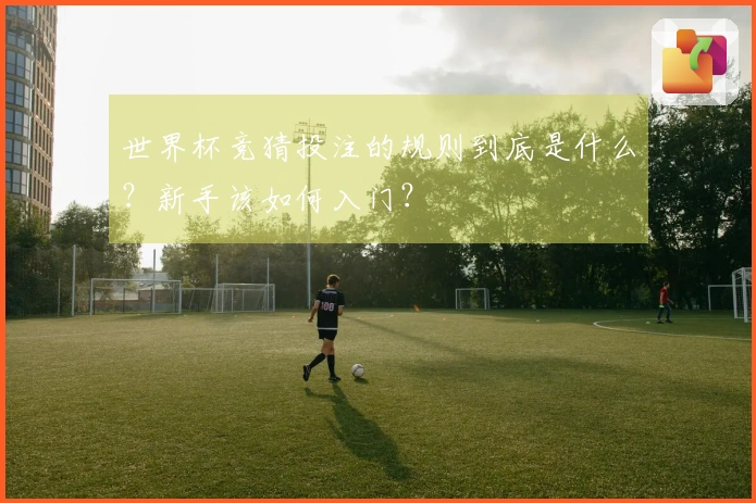世界杯竞猜投注的规则到底是什么？新手该如何入门？