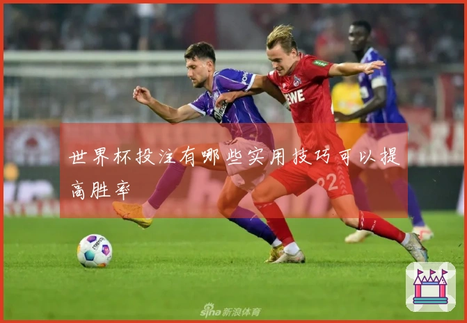 世界杯投注有哪些实用技巧可以提高胜率