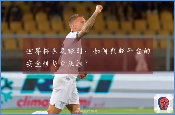 世界杯买足球时，如何判断平台的安全性与合法性？