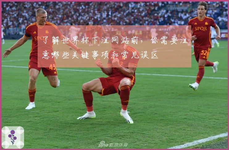 了解世界杯下注网站前，你需要注意哪些关键事项和常见误区
