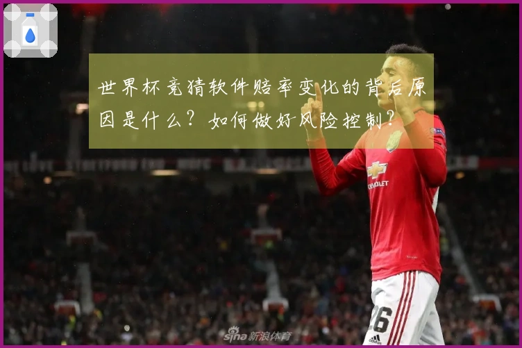 世界杯竞猜软件赔率变化的背后原因是什么？如何做好风险控制？