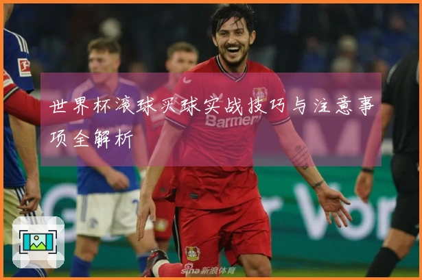 世界杯滚球买球实战技巧与注意事项全解析