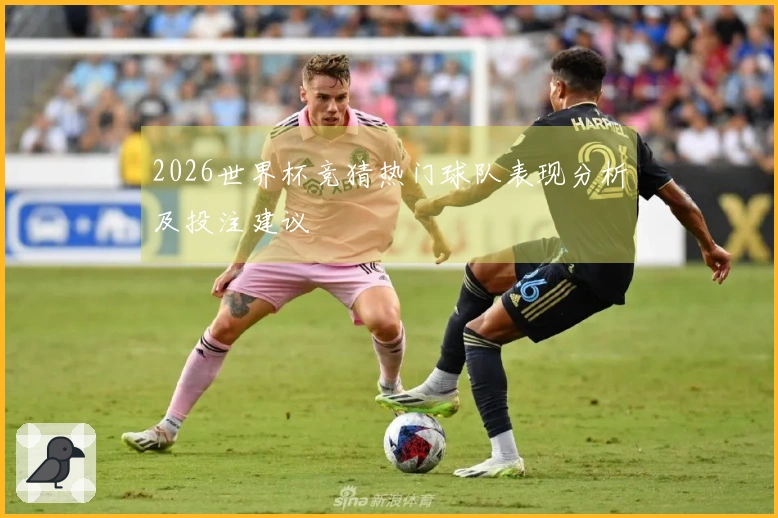 2026世界杯竞猜热门球队表现分析及投注建议