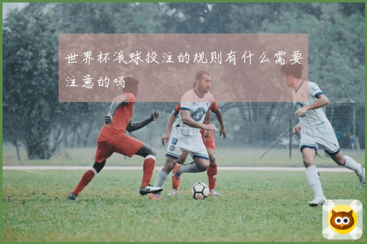 世界杯滚球投注的规则有什么需要注意的吗