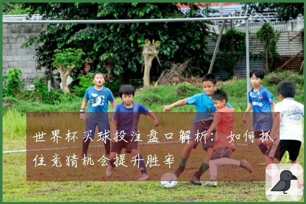 世界杯买球投注盘口解析：如何抓住竞猜机会提升胜率