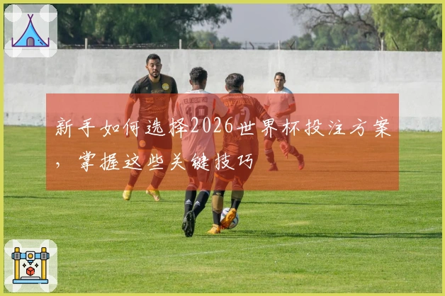 新手如何选择2026世界杯投注方案，掌握这些关键技巧